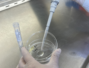 嬰配乳粉生產(chǎn)企業(yè)環(huán)境微生物監(jiān)測(一)——表面微生物采樣 嬰配乳粉生產(chǎn)企業(yè)環(huán)境微生物監(jiān)測(一)——表面微生物采樣