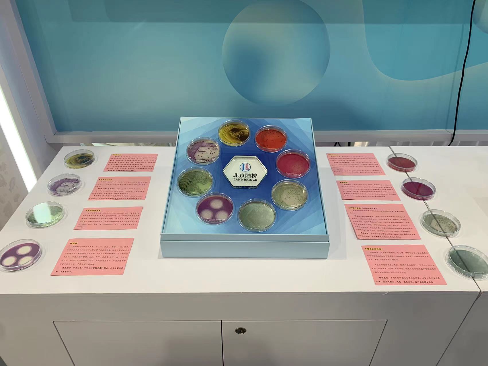 北京陸橋與您相約全國(guó)科普日 助力國(guó)家科技，守護(hù)“舌尖上的安全”