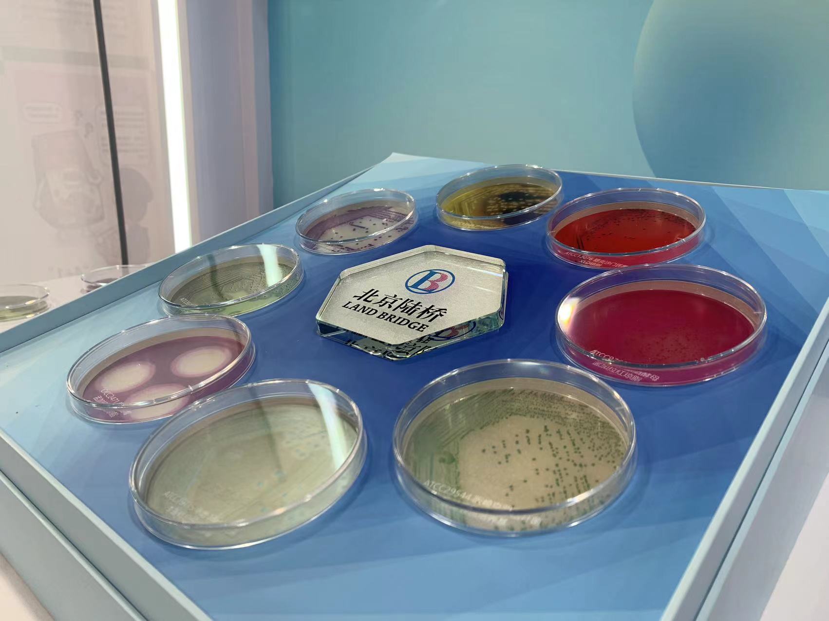 北京陸橋與您相約全國(guó)科普日 助力國(guó)家科技，守護(hù)“舌尖上的安全”