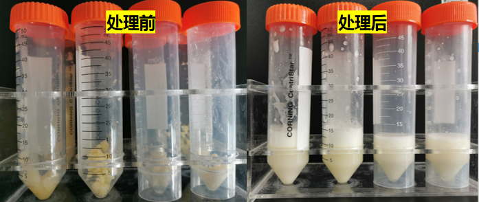 黃曲霉毒素M1的檢測 黃曲霉毒素M1的檢測