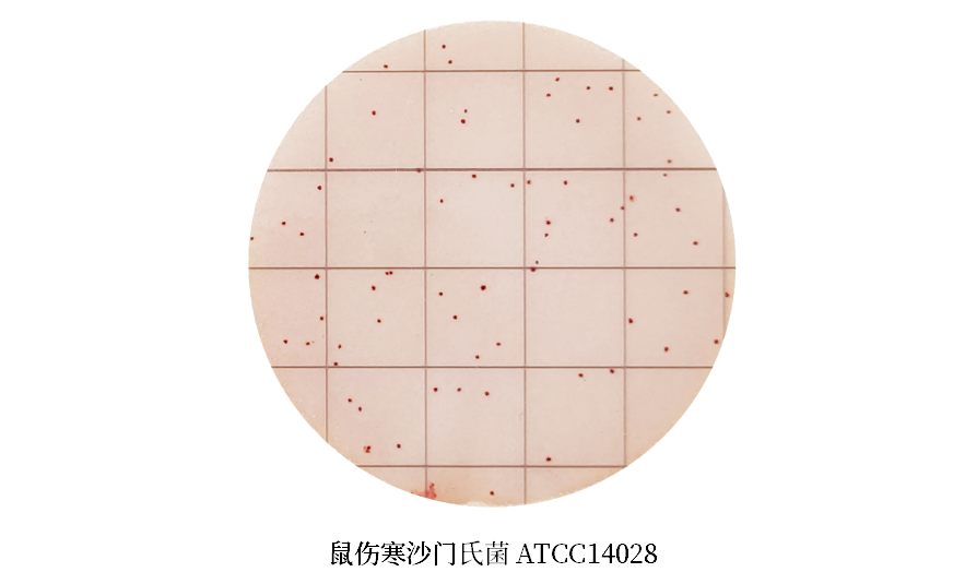 陸橋推出新大腸菌群測試片:符合GB4789.3-2025 陸橋推出新大腸菌群測試片:符合GB4789.3-2025