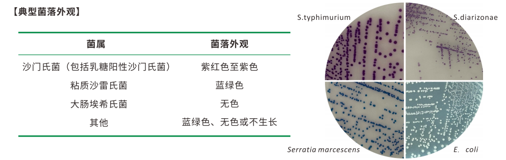 沙門檢測新助手—沙門氏+顯色培養(yǎng)基 沙門檢測新助手—沙門氏+顯色培養(yǎng)基