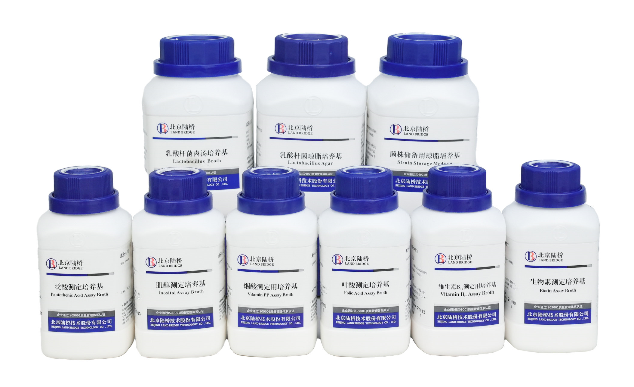 北京陸橋邀請您參加第六屆食品微生物標準與技術(shù)應(yīng)用大會 (2025年5月·北京) 北京陸橋邀請您參加第六屆食品微生物標準與技術(shù)應(yīng)用大會 (2025年5月·北京)