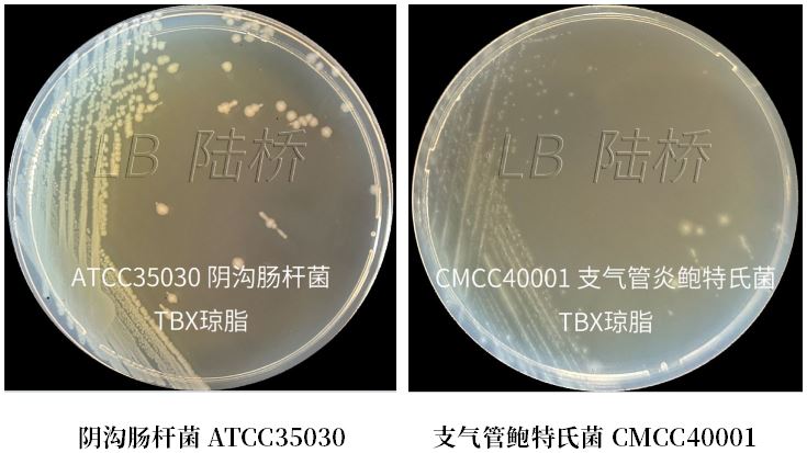 GB 4789.38-2025《食品安全國家標(biāo)準(zhǔn) 食品微生物學(xué)檢驗(yàn) 大腸埃希氏菌計(jì)數(shù)》解讀 GB 4789.38-2025《食品安全國家標(biāo)準(zhǔn) 食品微生物學(xué)檢驗(yàn) 大腸埃希氏菌計(jì)數(shù)》解讀