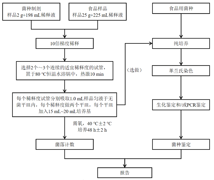 乳酸菌檢驗(yàn)新角色——片球菌屬與魏茨曼氏菌屬 乳酸菌檢驗(yàn)新角色——片球菌屬與魏茨曼氏菌屬