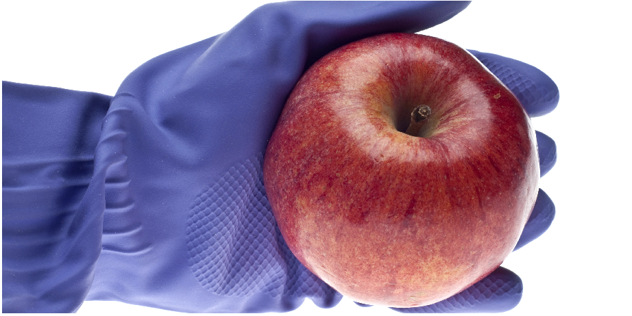 北京陸橋邀您參加2024 食品安全與檢測技術(shù)創(chuàng)新論壇，共同探討GB4789.28-2024