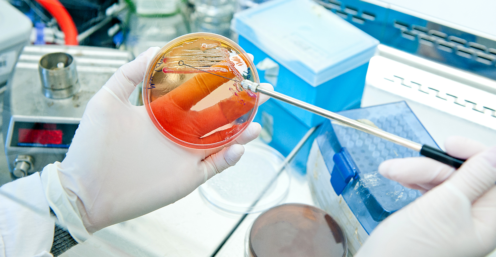 北京陸橋：GB 15979-2024 一次性衛(wèi)生用品檢測(cè)用產(chǎn)品列表